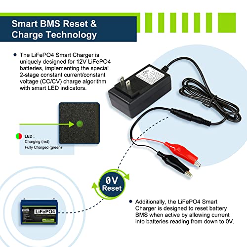 12V 1A Smart Charger for Lithium LiFePO4 Deep Cycle Rechargeable Batteries