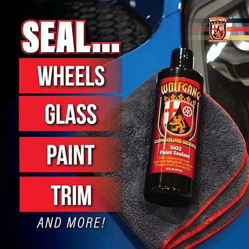 SiO2 Paint Sealant (16 fluid-oz)