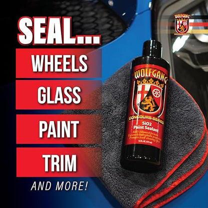 SiO2 Paint Sealant (16 fluid-oz)