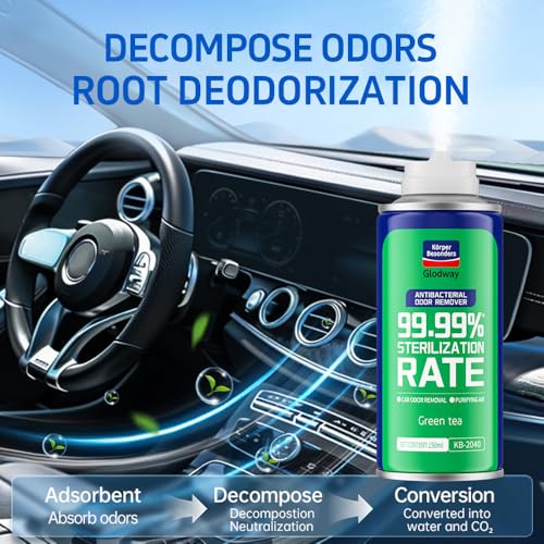 Glodway Whole Car Air Refresher Spray (18 Ounce)