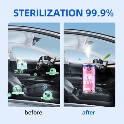 Glodway Whole Car Air Refresher Spray (12 Ounce)