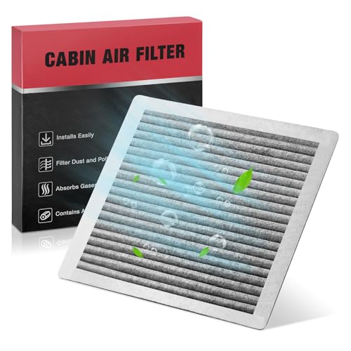 CF10138 Cabin Air Filter w