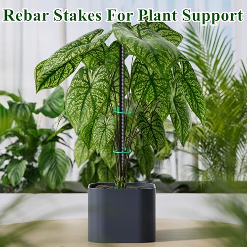 Rebar Stakes 16 Inch 20 Pack Heavy Duty Ground Anchors with Chisel Point End Long Straight Steel Tent Stakes 3 (20 Count)