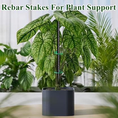 16 Inch Rebar Stakes 30 Pack Heavy Duty Ground Anchors with Chisel Point End Long Straight Steel Tent Stakes 3 (30 Count)