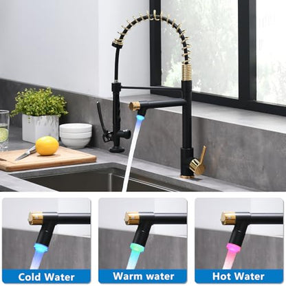LED Kitchen Faucet with Pull Down Sprayer