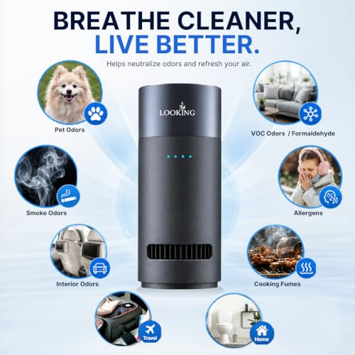 Ozone Generator for Car Odor Removal