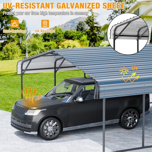 20'x30' Metal Carport