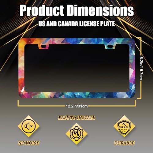 Stainless Steel Colorful Abstract Shiny License Plate Frame 12.3 x 6.3 in