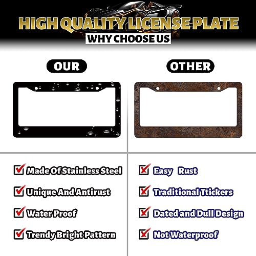 Arizona State Flag Stainless Steel State License Plate Frame 12.2 x 6.2Inch