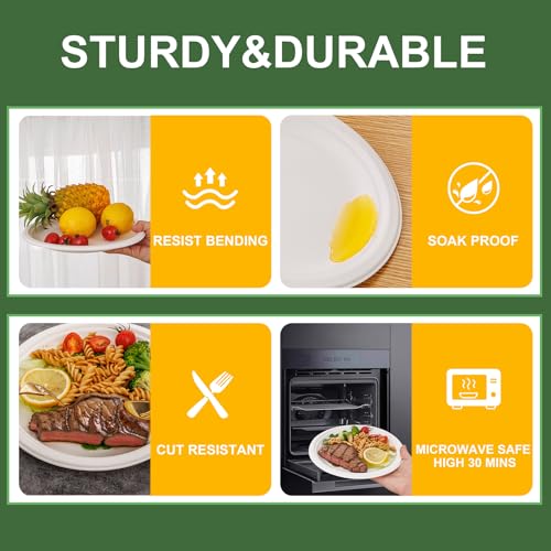 10 Inch Paper Plates 125 (125 Count)