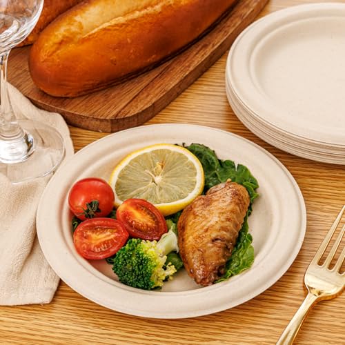 7 Inch Paper Plates 125 (125 Count)