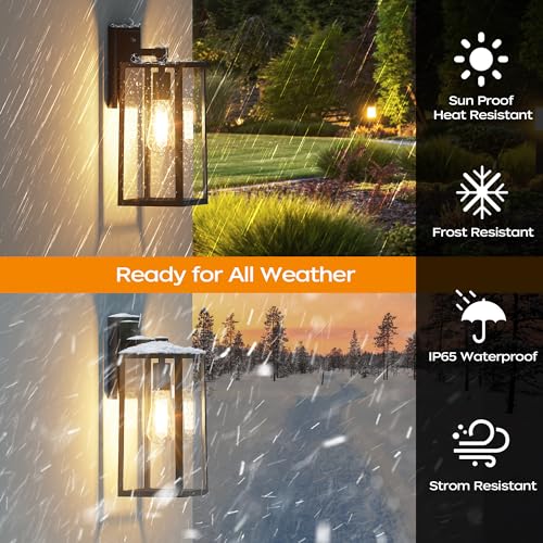 Dusk to Dawn Outdoor Light Fixtures Wall Mount (2 Count)