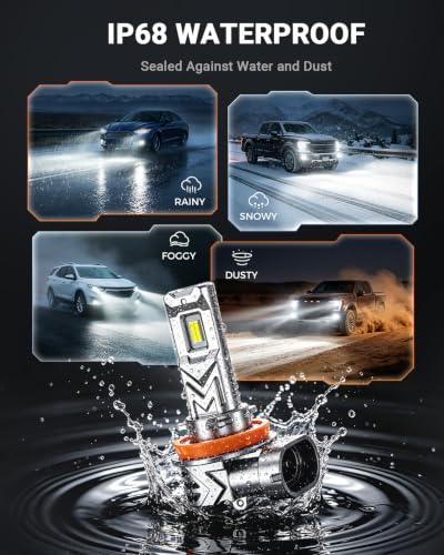H11 LED Fog Light Bulb (2 Count)