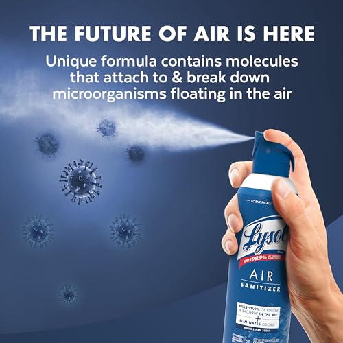 Air Sanitizer Spray (30 Ounce)