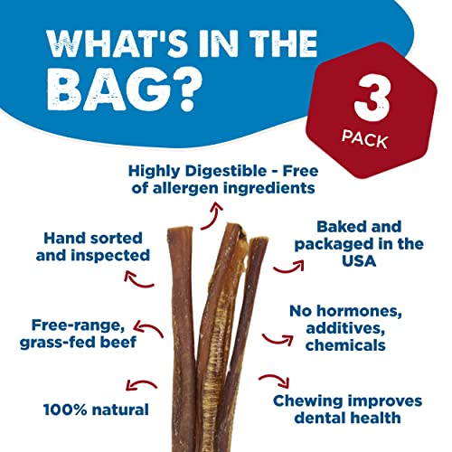 12 Inch Bully Sticks for Dogs (3 Count)