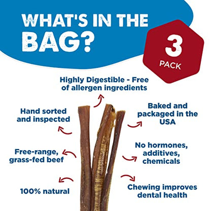 12 Inch Bully Sticks for Dogs (3 Count)