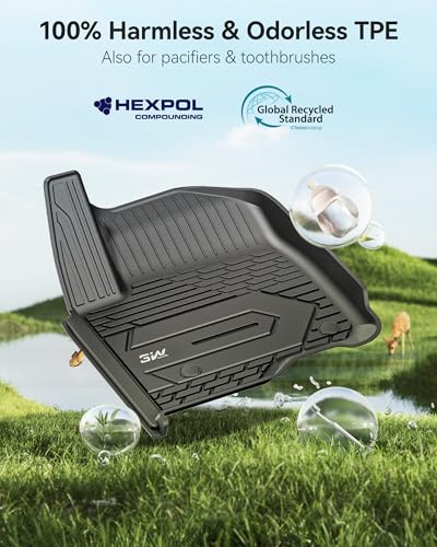 Floor Mats Fit for 2019