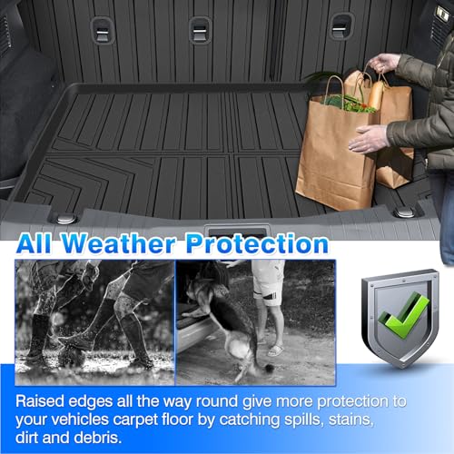 Car Mats for Ford Mustang Mach E 2021
