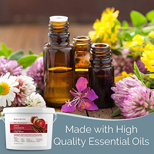 1 Gallon Odor Absorber Gel