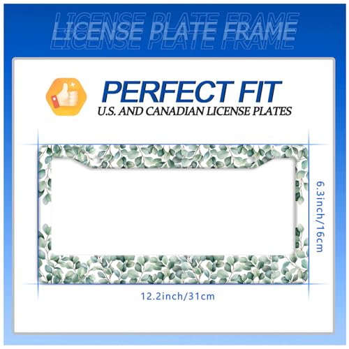 Green Leaf License Plate Frame Stainless Steel Car Accessory 6x12 Inch