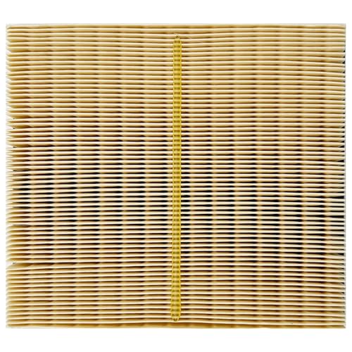 Engine Air Filter JMP050 Fits for 2013