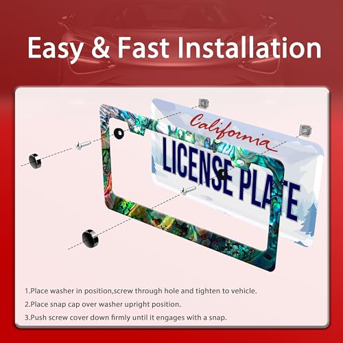 Faux Abalone Shell License Plate Frame Stainless Steel 2