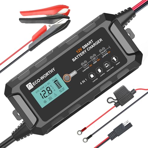 12V 10A Battery Charger for Lead