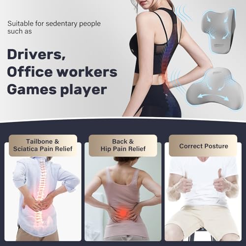 Lumbar Support Pillow and Car Neck Pillow (2 Count)