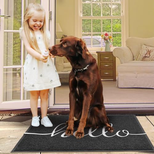 Door Mat Outside Inside Hello Doormat