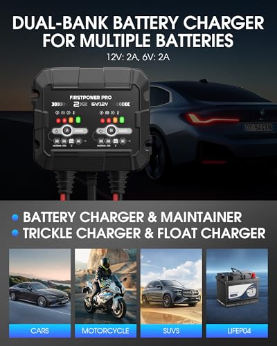 2-Bank, 4A (2A/Bank) Trickle Charger for Car Battery, 12V 6V Car Battery Charger, Automotive Battery Trickle Charger, Maintainer, for Motorcycle Lawn Mower AGM, Lithium Batteries - 1PC