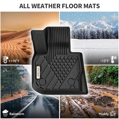 Floor Mats Fit for 2019