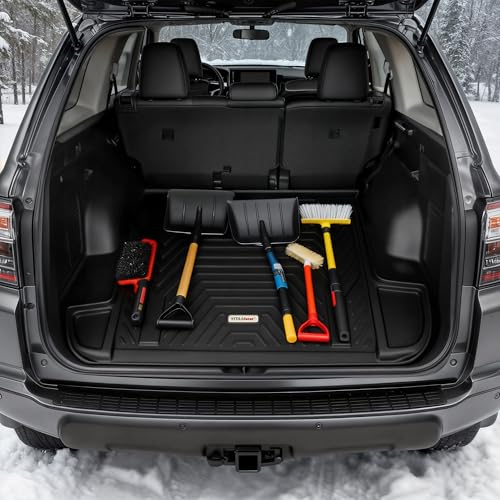 Cargo Mat Fit for 2010