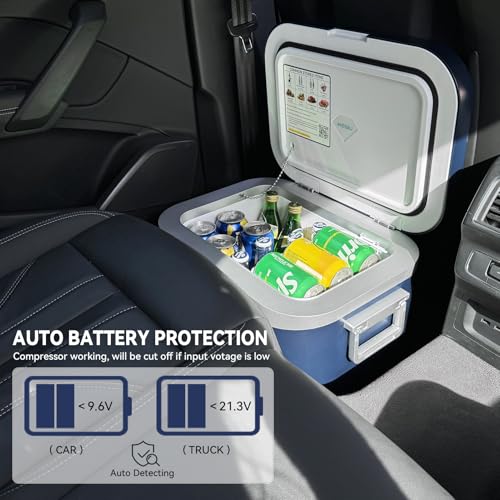 Car Refrigerator