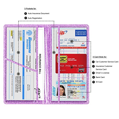 Car Registration and Insurance Card Holder