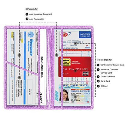 Car Registration and Insurance Card Holder