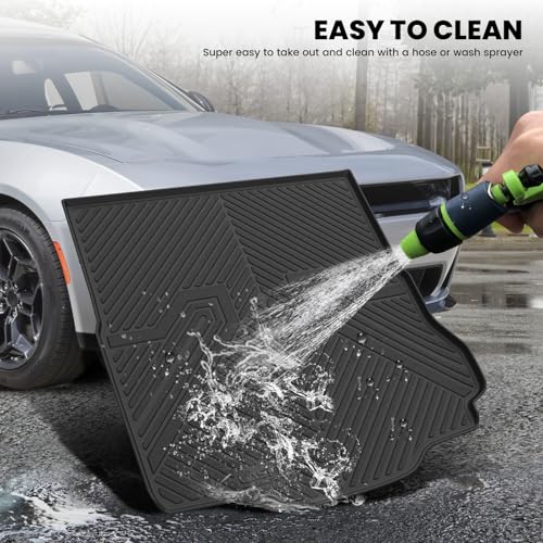 Cargo Mat for Dodge Charger Daytona EV 2
