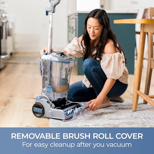 Pet Portable Carpet Cleaner Machine with High Cleaning Power