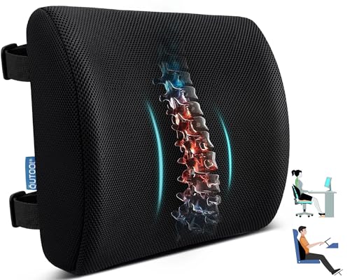 Lumbar Support Pillow for Office Chair