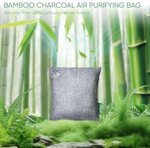 Activated Charcoal Odor Absorber
