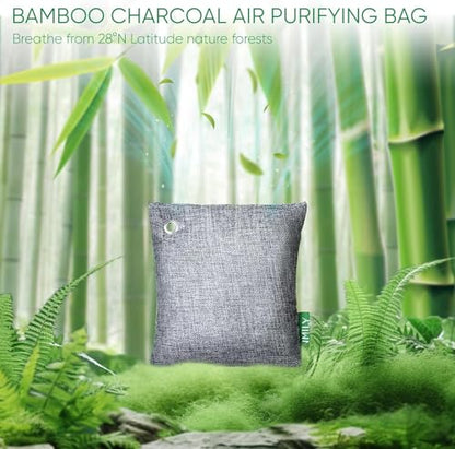 Activated Charcoal Odor Absorber