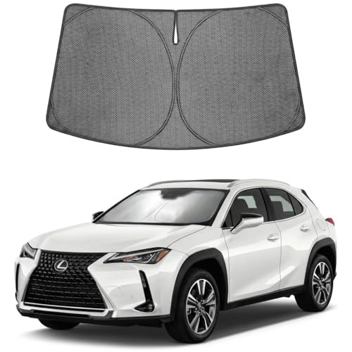 Custom Fit 2019