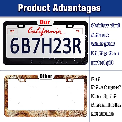 Beautiful Gemstone Pattern License Plate Frame Stainless Steel 6x12 Inch