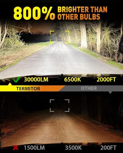 D2S Light Bulbs (2 Count)