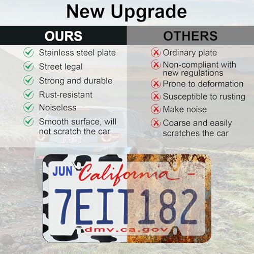4 Holes Stainless Steel License Plate Frames