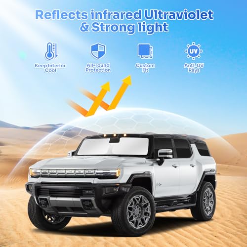 Sunshades for 2022 (6 Count)
