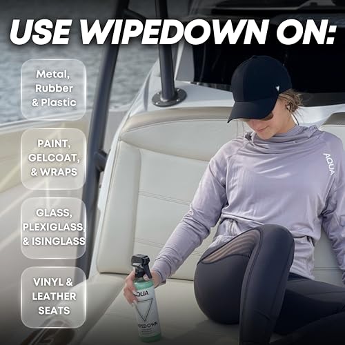 WIPEDOWN Ceramic Quick Detailer Spray & Waterless Wash (16.9 Fl Oz)