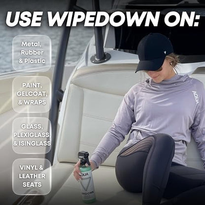 WIPEDOWN Ceramic Quick Detailer Spray & Waterless Wash (16.9 Fl Oz)