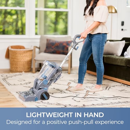 Pet Portable Carpet Cleaner Machine with High Cleaning Power