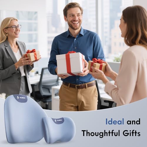 Lumbar Support Pillow and Neck Pillow for Office Chair Car