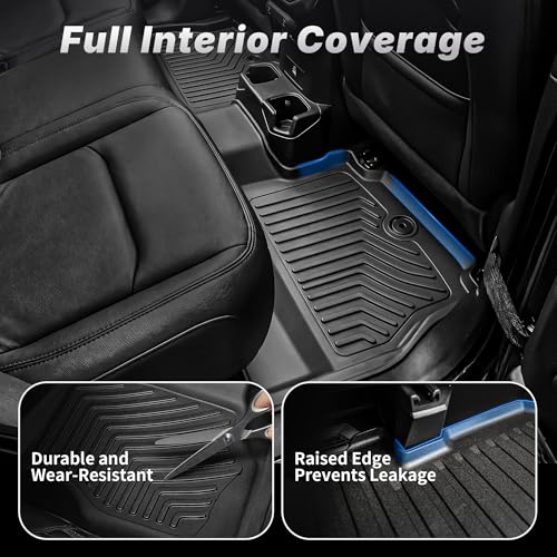 Floor Mats Fit for 2018